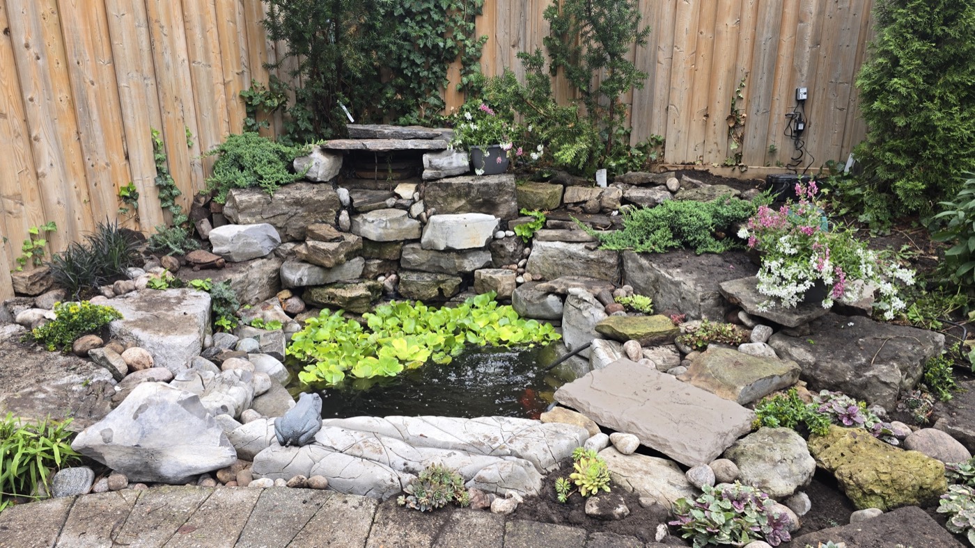 Outdoor water feature project with stone and planting
