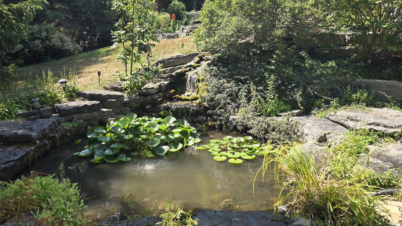 Tropic Ponds completed backyard water feature project