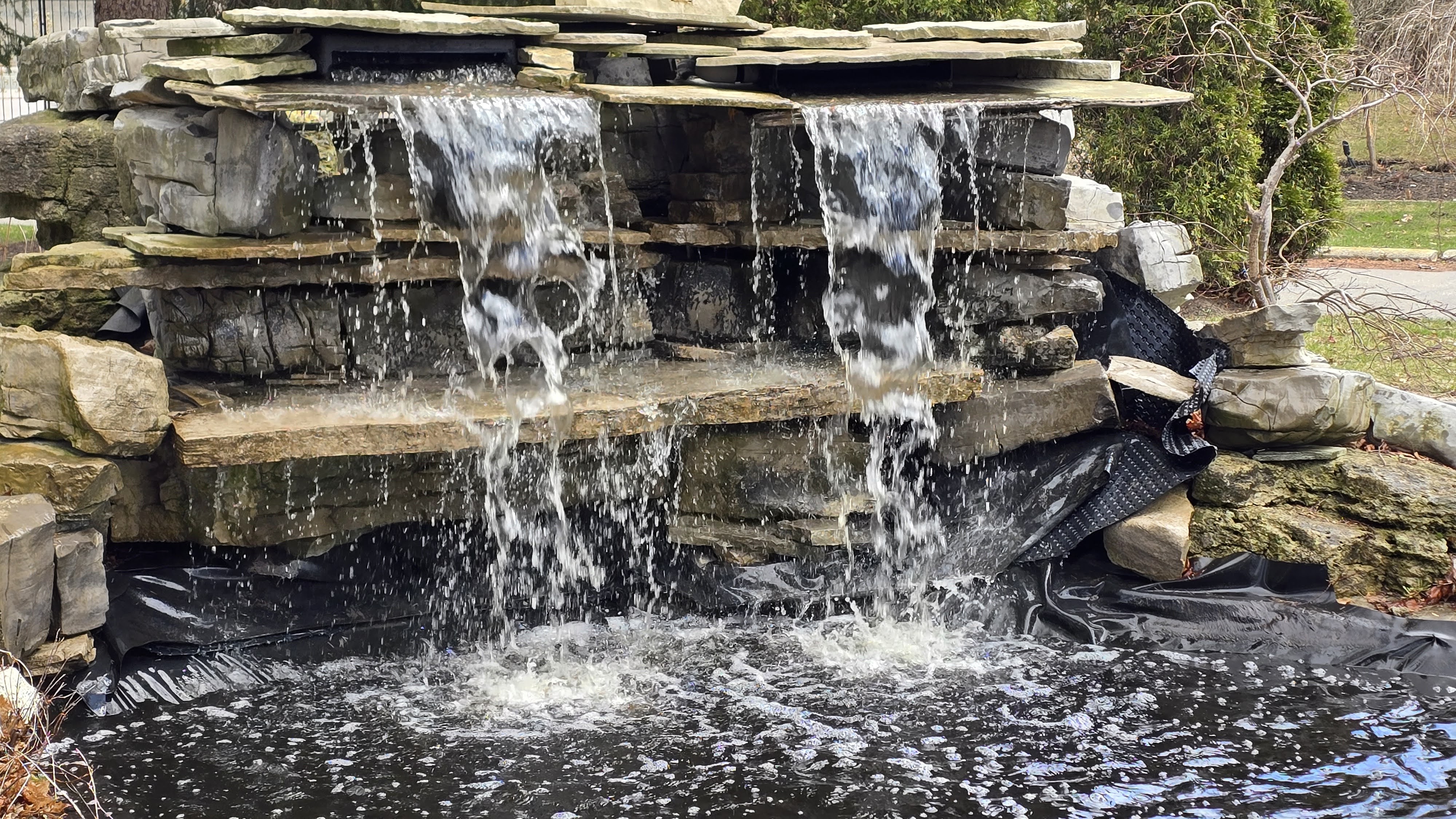 Tropic Ponds project photo 26