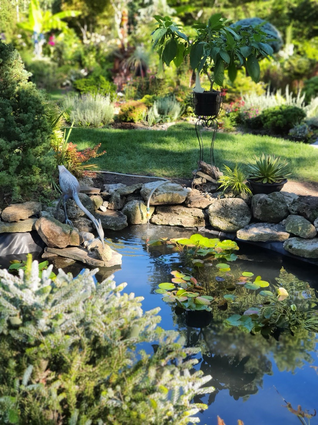 Tropic Ponds project photo 10