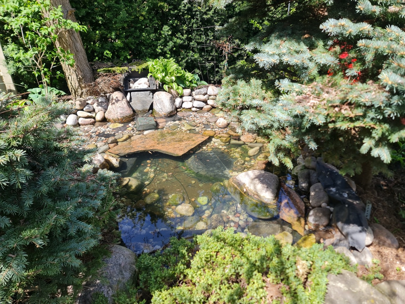 Tropic Ponds project photo 13