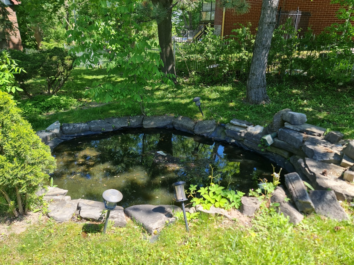 Tropic Ponds project photo 14