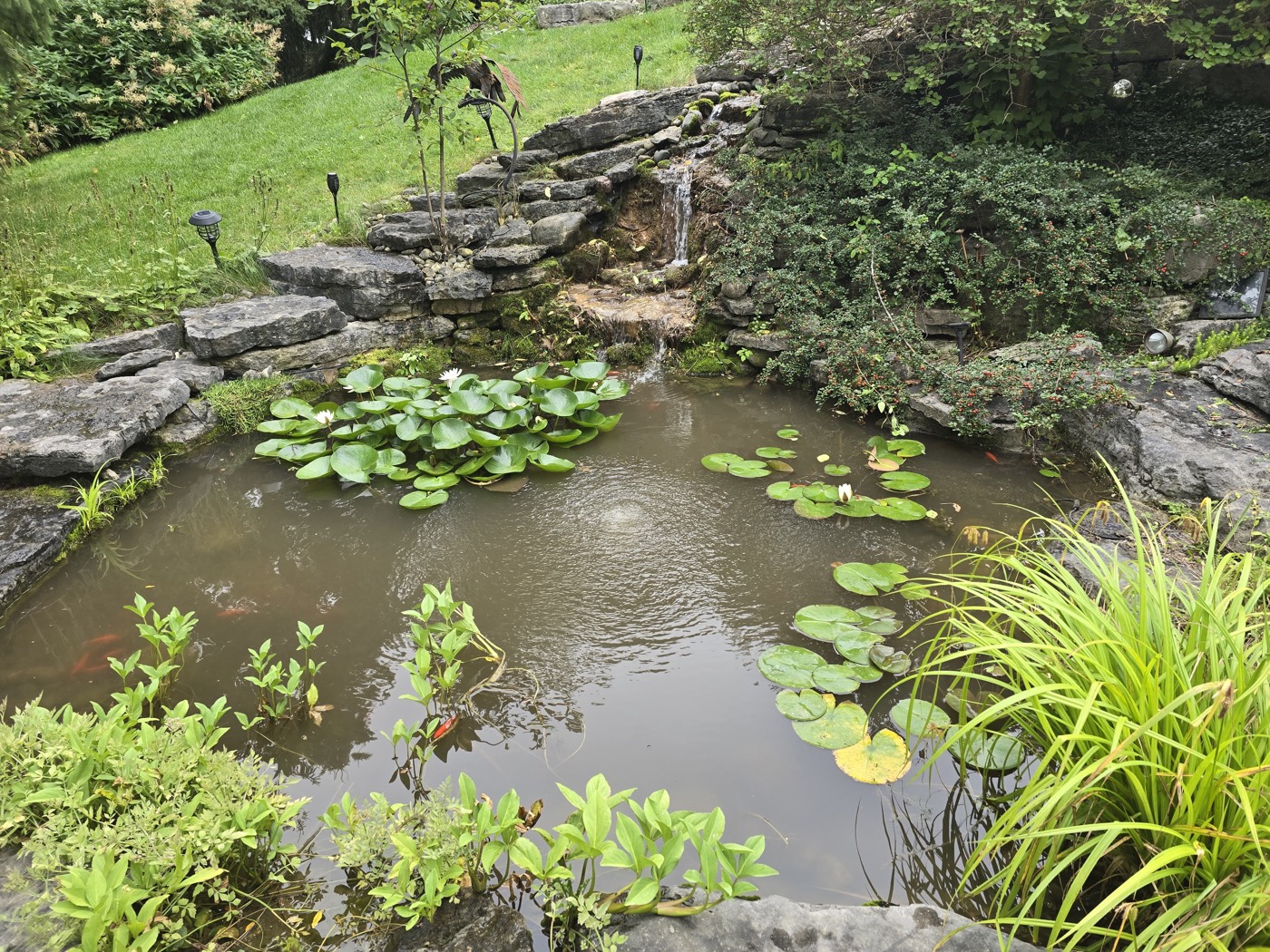 Tropic Ponds project photo 18